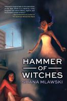 Hammer of Witches cover