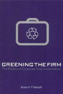 Greening the Firm The Politics of Corporate Environmentalism cover