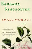 Small Wonder cover
