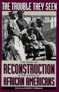 The Trouble They Seen: The Story of Reconstruction in the Words of African Americans cover