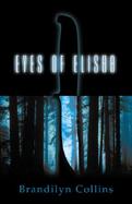 Eyes of Elisha cover