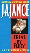 Trial by Fury A Mystery cover