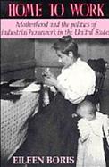 Home to Work Motherhood and the Politics of Industrial Homework in the United States cover