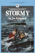 Stormy cover