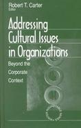 Addressing Cultural Issues in Organizations Beyond the Corporate Context cover
