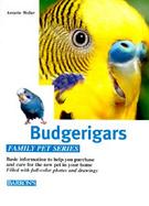 Budgerigars cover