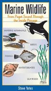 Marine Wildlife: From Puget Sound Through the Inside Passage cover