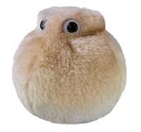 GiantMicrobes-Fat Cell cover