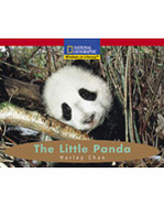 BK: THE LITTLE PANDA cover