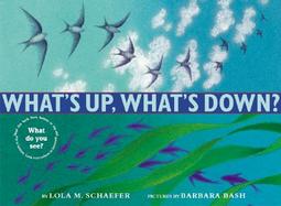 What's Up, What's Down? cover