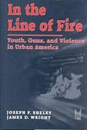 In the Line of Fire Youths, Guns, and Violence in Urban America cover