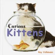 Curious Kittens cover
