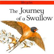 The Journey of a Swallow cover