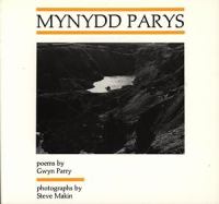 Mynydd Parys Poems cover