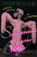 Something for the Boys: Musical Theater and Gay Culture cover