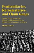Penitentiaries, Reformatories, and Chain Gangs Social Theory and the History of Punishment in Nineteenth-Century America cover
