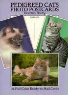 Pedigreed Cats Photo-Postcard cover