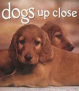 Dogs Up Close cover