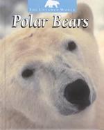 Polar Bears cover