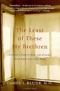 The Least of These My Brethren A Doctor's Story of Hope and Miracles in an Inner-City AIDS Ward cover