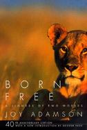 Born Free A Lioness of Two Worlds cover