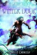 Winter Door cover