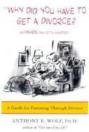 Why Did You Have to Get a Divorce? and When Can I Get a Hamster? A Guide to Parenting Through Divorce cover
