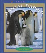 Animal Babies cover