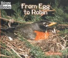 From Egg to Robin cover