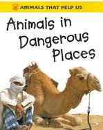 Animals in Dangerous Places cover