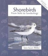 Shorebirds From Stilts to Sanderlings cover