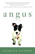 Angus cover