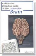 An Illustrated Dissection Guide To The Mammalian Brain cover