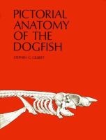 Pictorial Anatomy of the Dogfish cover
