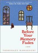 Before Your Memory Fades : A Novel cover