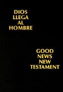 Bilingual New Testament cover