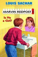Marvin Redpost Is He a Girl (volume3) cover