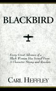 Blackbird cover