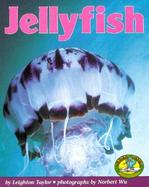 Jellyfish cover
