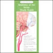 Illustrated Pocket Anatomy:Brain Study Guide (laminated Card, Single Copy, No Tab) cover