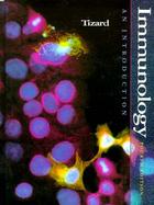 Immunology: An Introduction cover