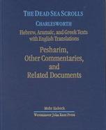 The Dead Sea Scrolls Hebrew, Aramaic, and Greek Texts With English Translations (volume6B) cover