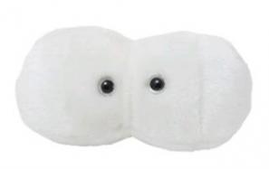 GiantMicrobes-Cavity cover