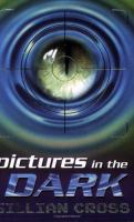 Pictures in the Dark cover