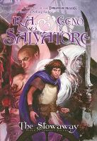 The Stowaway Stone of Tymora, Book I cover