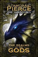 The Realms of the Gods cover