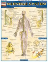 Nervous System  Laminated Reference Guide cover