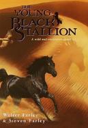 The Young Black Stallion cover