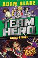 Team Hero: Ninja Strike : Series 4 Book 2 cover