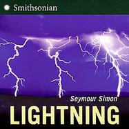 Lightning cover